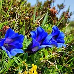 Bauernhof Krahlehen - - *