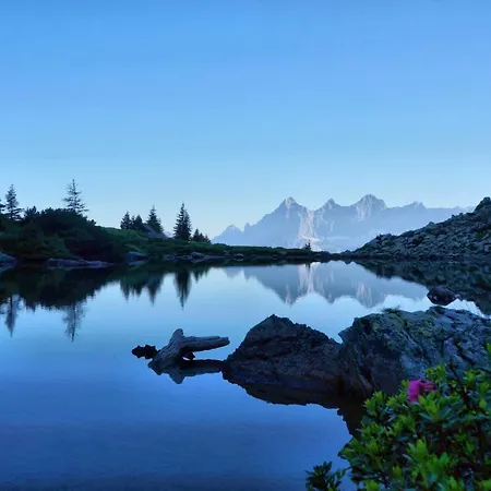 Bauernhof Bauernhof Krahlehenhof Filzmoos